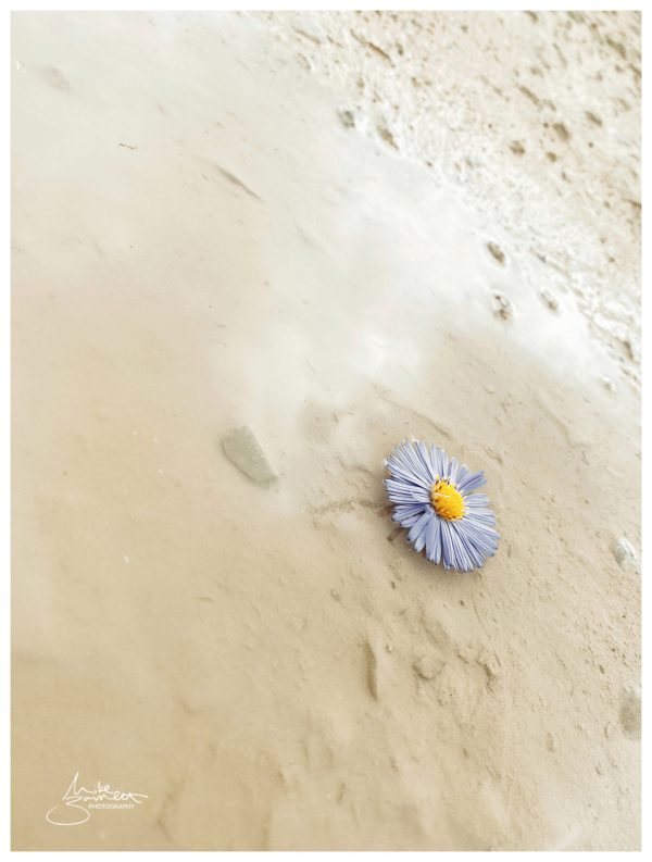 Created with RNI Films app. Preset 'Kodak Gold 200 v.5'